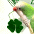 Animated green parrot with red beak perched on a branch, holding a four-leaf clover amid pixelated leaves and text fragments.