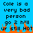 Blue background with black pixelated text reading "Cole is a very bad person go 2 hell up still Hot" and orange flame-like shapes at the bottom.