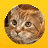 Pixelated circular icon of a cat's face with brown and white fur, set against a solid yellow background.
