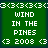 Green background with white pixelated text reading "WIND IN THE PINES" and "<3 2008 <3", repeated in a pattern