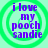 Four identical circular icons with green concentric rings and purple text reading "i love my pooch sandie" on a light green background.