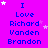 identical text blocks on a bright purple background, each displaying "I Love Richard Vanden Brandon" with small white and pink stars scattered around