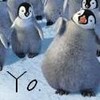 A static image of three cartoon penguin chicks on a snowy background with partial text 'Yo.' in the lower-left corner.