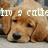 Pixelated image of a light brown dog with dark eyes and nose, overlaid with white pixelated text reading 'im a cali' on the upper portion.