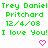 Green pixelated text displays 'Trey Daniel Pritchard' with date '12/4/08' and 'I love You!' flanked by pink heart symbols on white background.