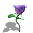 Pixelated purple rose with green stem and leaves, casting a gray shadow that shifts position across frames.