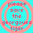 Cyan background with four identical pink circular patterns containing text reading 'please save the georgoues tiger' in pixelated font.