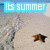 A four- shows beach and celebrity imagery with blue text overlays reading 'Its summer', 'lets go', and 'And us a man'