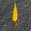 Animated sequence of a yellow and red flame-shaped icon with a central red symbol, transitioning through multiple states against a textured gray background.
