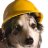 Pixelated image of a dog wearing a yellow hard hat, facing slightly right with dark eyes and nose.