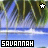 Pixelated beach scene with palm trees and ocean waves, featuring a white star icon above the left side and a blue star icon above the right side.