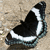 Pixelated black and white icon with a curved shape on a beige background, featuring a white stripe along the lower edge and a dark central area.