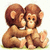 Two brown monkeys sit facing each other, embracing with arms around one another's shoulders on a light background.