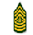 Static pixelated icon of a green and yellow military-style insignia with layered geometric patterns and central emblem.