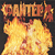A 50x50 pixel animated contact sheet showing two frames of a Metallica-themed buddy icon with fiery background and metallic text.