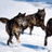 Four- with wolves in snow, blue text, red text, and hands holding a heart