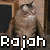 Pixelated cat with brown fur in a wooden frame, displaying text overlays that change from 'Rajah' to 'Looks like a...' to 'Hershey Kiss!!'
