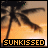 A 4-frame animated contact sheet showing a tropical sunset scene with palm trees and the word 'SUNKISSED' in pixelated text, each frame displaying different text background colors.