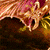 Animals icons for AIM, MSN, MySpace and Yahoo