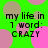 Green background with pink and beige circles, text reading 'my life in 1 word: CRAZY' repeated four times.