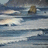 A four- with ocean waves, blue text reading 'Save Our Oceans' and 'And Wildlife', and a gray