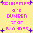 Pixelated text on a yellow background with purple stars, stating "BRUNETTES are DUMBER than BLONDES" in pink letters, repeated twice with minor spelling variations.