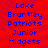 Blue text reading Lake Brantley Patriots Junior Midgets on a red striped background, displayed in two identical vertical with no visible animation changes