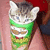 A pixelated cat with gray and white fur wears a green striped shirt, positioned against a red background.