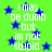 Green background with blue stars and white pixelated text reading "i may be dumb but im not stupid" repeated twice.