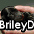 A four- shows a black dog, a black dog with a red collar, a small dog on grass, and a blank with text overlays