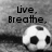 Black-and-white pixelated image with two soccer balls and text reading "Live, Breathe." and "Bleed Soccer." on separate sides.