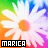 Pixelated daisy with white petals and orange center against gradient background, text 'MARICA' in black or green box at bottom.