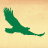 Animated contact sheet showing 11 frames of a green eagle flying across brown text on a beige background, with partial visibility of 'The Academy' and 'Jemmy's' text elements.