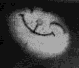 A grayscale animated icon shows a stylized face with closed eyes and a curved mouth, transitioning through varying brightness levels against dark backgrounds.