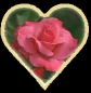 Heart-shaped frame with pink rose, green leaves, and yellow border; text 'E Mail' in gold script below on black background.
