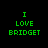 Green pixelated text "I LOVE BRIDGET" displayed on four distinct background colors: black, gray, white, and light purple.