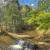 Static pixelated image of a landscape with trees, a body of water, and a blue sky with a white sun or moon.