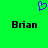 Green background with a purple pixelated heart symbol above two identical black text labels reading 'Brian' in a blocky font.