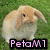 A light brown and white rabbit with long ears sits on green grass, its head slightly tilted left in the first frame, then right in the second, and forward in the third.