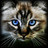 Pixelated close-up of a cat's face with blue eyes, brown and white fur, and a dark nose against a blurred background.
