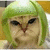 Static pixel art of a cat-like creature with light brown fur, dark eyes, and a green hooded garment covering its head and shoulders.