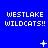 Blue background with repeated white pixelated text "WESTLAKE WILDCATS!!" and changing small symbols above each