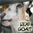 Animated contact sheet showing two side-by-side frames of a cartoon goat with text "GOAT" below it, displayed on a gray background.