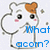 Pixelated cartoon hamster with brown heart-shaped marking on head, pink cheeks, and raised paw covering mouth; text "What acorn?" in blue, purple, green colors.