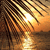 Pixelated sunset scene with bright sun partially obscured by dark tree branches, reflecting on water below.
