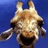 Pixelated close-up of a giraffe's head against a solid blue background, showing light brown and white patterned fur, dark eyes, and small horn-like ossicones.