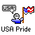 Two side-by-side animated frames of a pixel art buddy icon showing a stick figure holding an American flag with "USA!" text in speech bubbles and "USA Pride" text below.