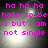 Pixelated text in bright pink reads "ha ha ha hate to be u but i am not single" over a dark, blurred background with light spots.