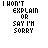 Static black-and-white pixel art displays repeated text "I DON'T EXPLAIN OR SAY I'M SORRY" with varying wave-like line patterns below each instance.
