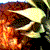 Pixelated image of a human skull with glowing eyes and fiery orange-red background elements.